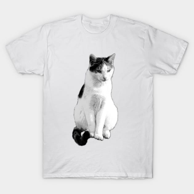 Meow T-Shirt by MarionsArt